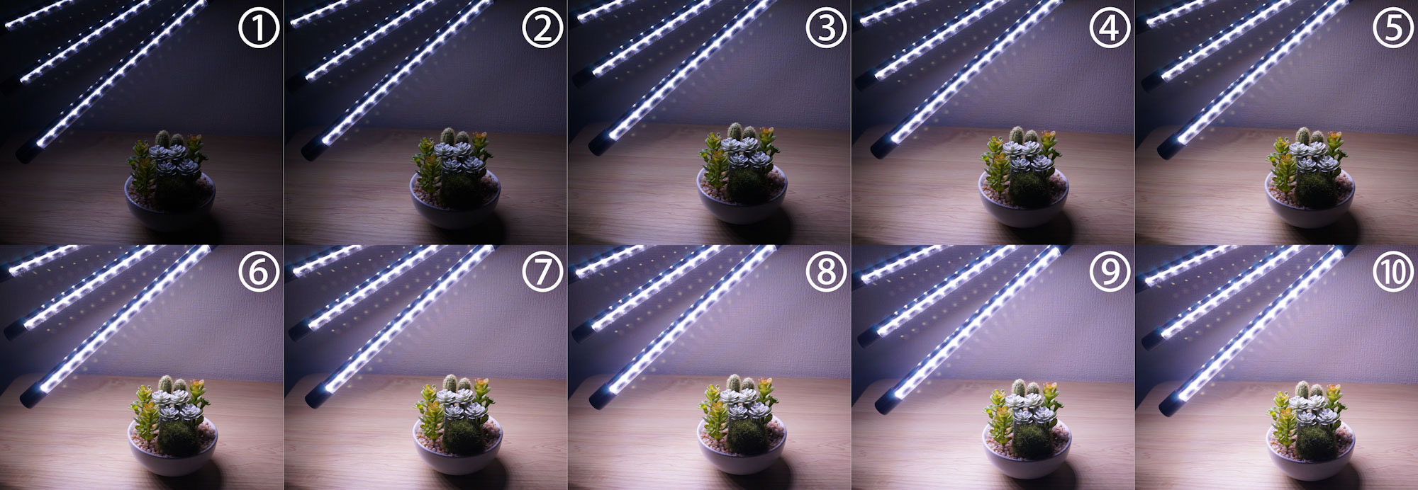 レビュー】植物育成用LEDライトを購入してみた｜メイの気まぐれ植物図鑑