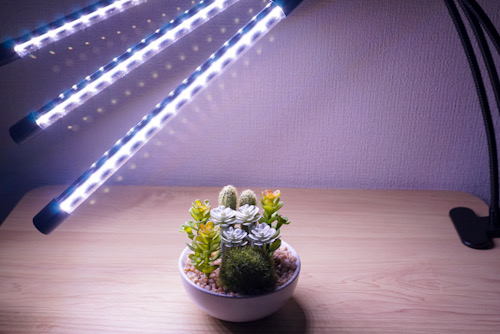 レビュー】植物育成用LEDライトを購入してみた｜メイの気まぐれ植物図鑑